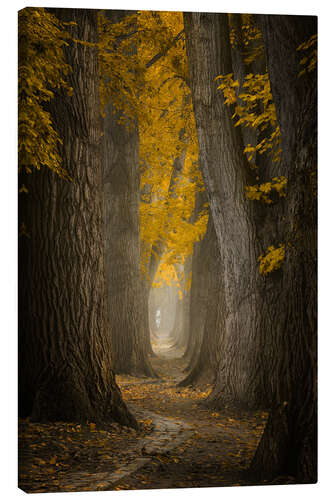 Lerretsbilde Autumn path