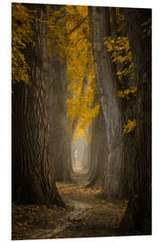 Foam board print Autumn path