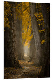 Gallery Print Herbst Weg