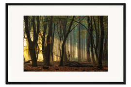 Gerahmter Kunstdruck Erstes Licht im Wald