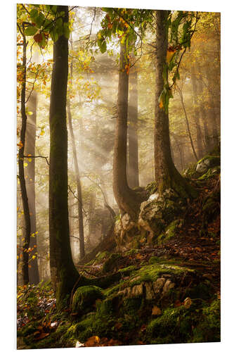 Hartschaumbild Ein Tag im Wald