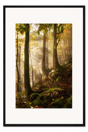 Gerahmter Kunstdruck Ein Tag im Wald
