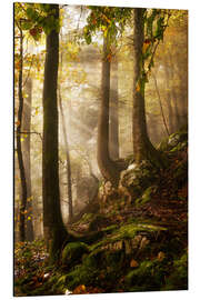 Magnettafel Ein Tag im Wald