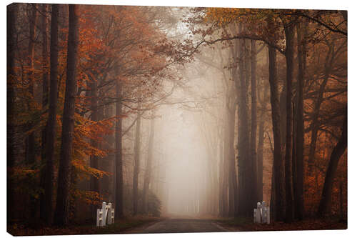 Canvas print Autumn