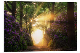 Magnettafel Morgensonne