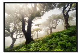 Gerahmter Kunstdruck Nebelwald am Morgen