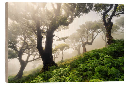 Wood print Cloud forest in the morning