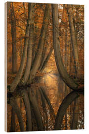 Tableau en bois Les arbres courbés