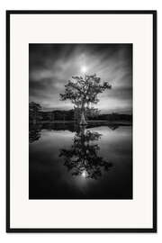 Gerahmter Kunstdruck Unter dem mondhellen Himmel