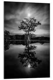 Gallery print Under the moonlit sky