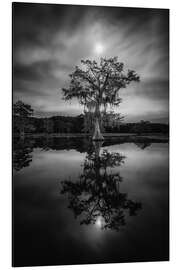Magnettafel Unter dem mondhellen Himmel