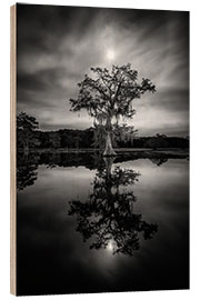 Wood print Under the moonlit sky