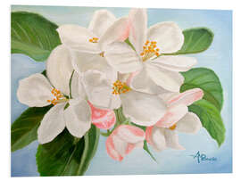 Foam board print Apple Blossom