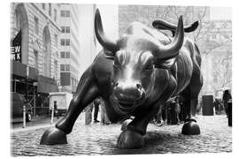 Akrylglastavla  Charging Bull in Lower Manhattan, black and white