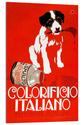 Quadro em plexi-alumínio Colorificio italiano