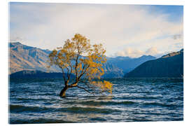 Acrylic print Lonely tree in New Zealand in autumn