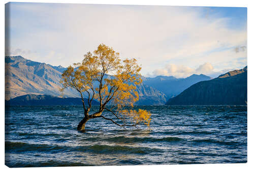 Leinwandbild Einsamer Baum in Neuseeland im Herbst