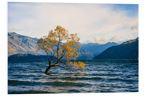 Foam board print Lonely tree in New Zealand in autumn