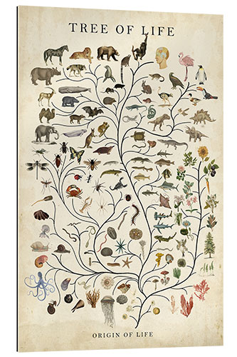 Gallery print Tree of Life