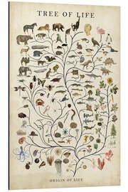 Magnettafel Baum des Lebens (englisch)