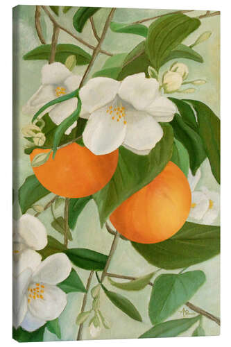 Canvas print Branch of the orange tree