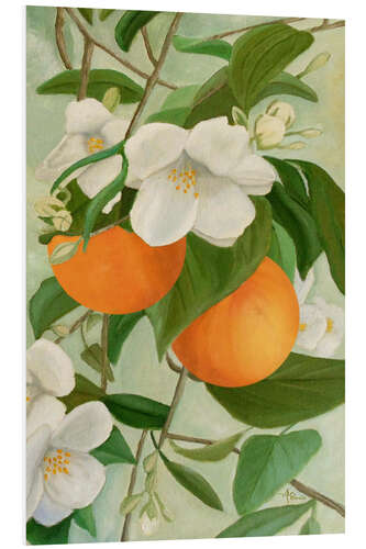 Foam board print Branch of the orange tree