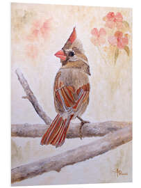 Foam board print Northern Cardinal