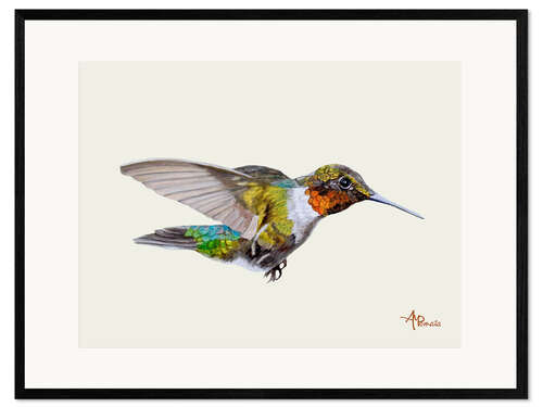 Kehystetty taidepainatus Colorful hummingbird