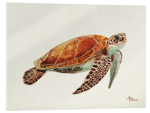 Acrylic print Turtle