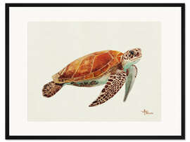 Gerahmter Kunstdruck Schildkröte