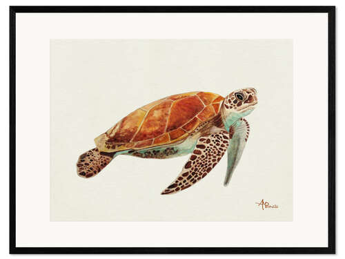 Gerahmter Kunstdruck Schildkröte