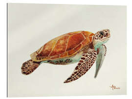 Gallery print Turtle