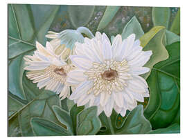 Aluminium print White Gerbera