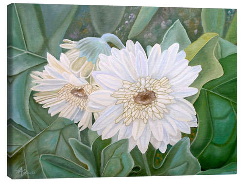 Canvastavla White Gerbera