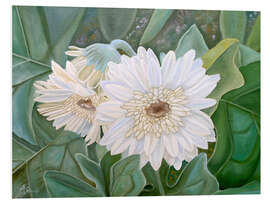 Foam board print White Gerbera