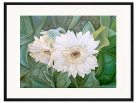Gerahmter Kunstdruck Weiße Gerbera