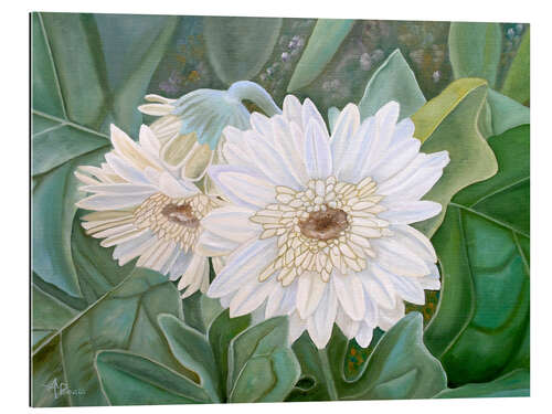 Galleriprint White Gerbera