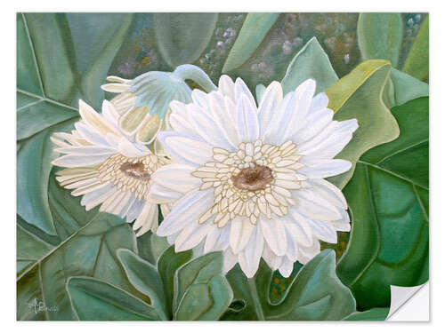 Muursticker White Gerbera