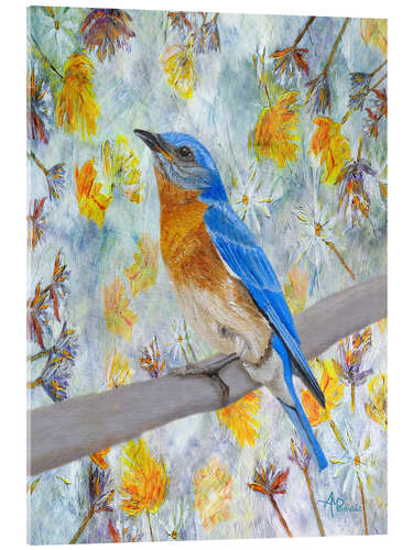 Acrylic print Eastern Bluebird in spring