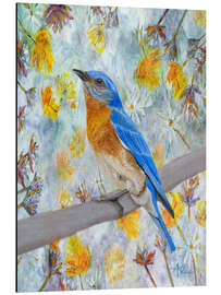 Aluminium print Eastern Bluebird in spring