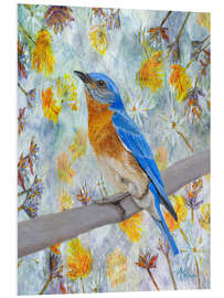 Foam board print Eastern Bluebird in spring