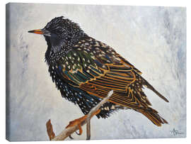 Canvas print Starling in the winter