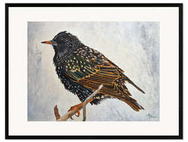 Inramat konsttryck Starling in the winter