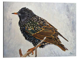 Magnettafel Star im Winter