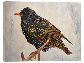 Wood print Starling in the winter