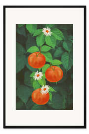 Gerahmter Kunstdruck Ein Zweig Mandarinen