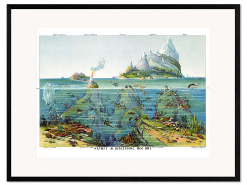 Impresión de arte enmarcada La vida bajo el agua (inglés)