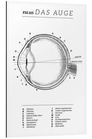 Aluminiumsbilde Vintage eye diagram (German)