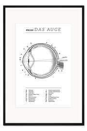 Gerahmter Kunstdruck Das Auge, Diagramm (Vintage)