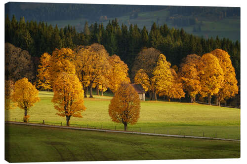 Tableau sur toile Automne doré